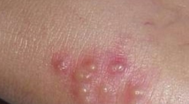 ��״������δ�����